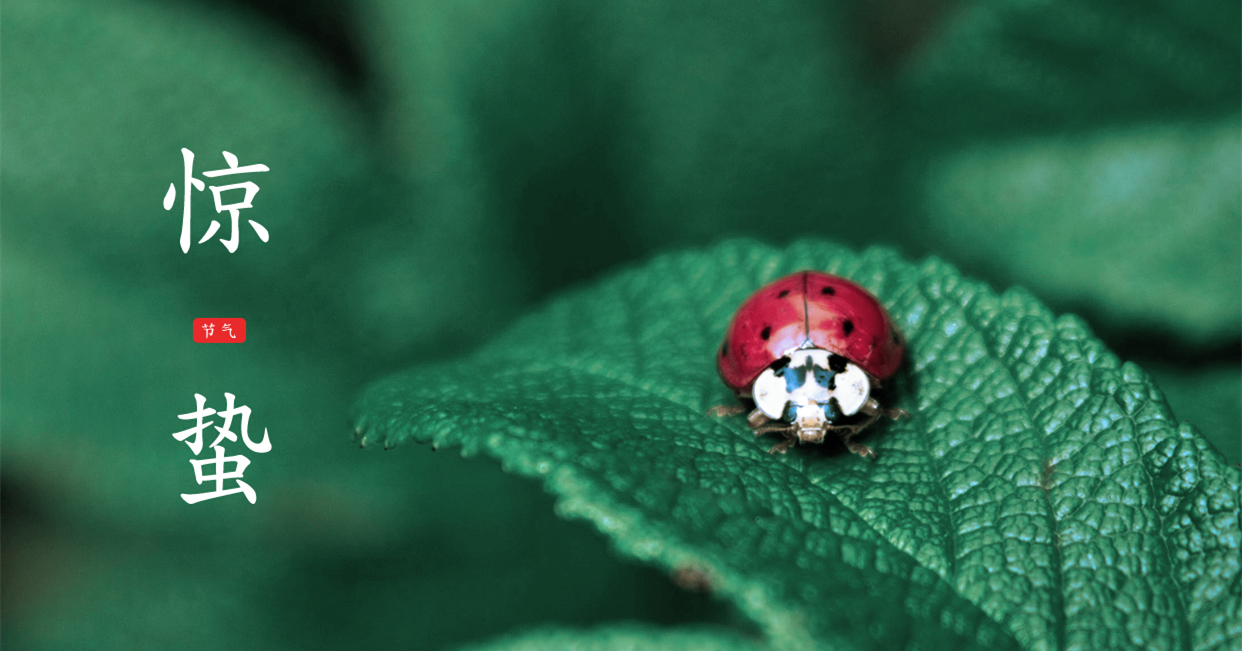 驚蟄 ▎驚蟄始，萬物舒，與你聽風(fēng)望春來