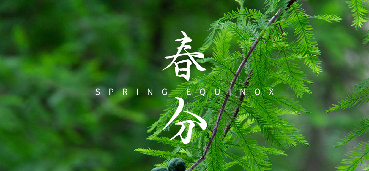 春分 ▎不負(fù)春光，萬物生長