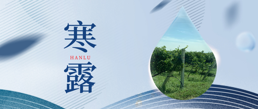 寒露丨夜露凝寒，萬物皆秋