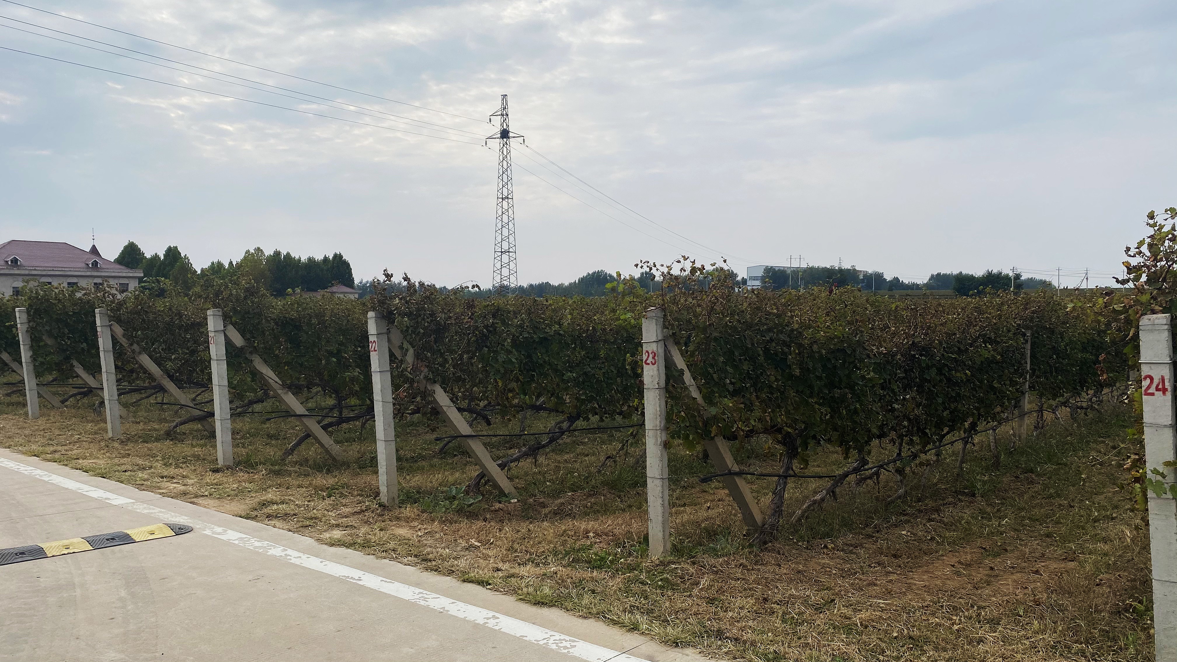 霜降 ▎秋暮露成霜，酒香酣時(shí)光