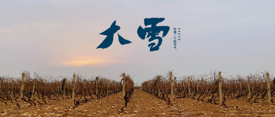 大雪 ▎世界留白，天地靜美