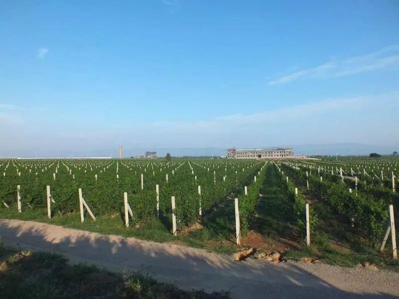 格瑞特莊園春季踏青游，一場微醺的春日盛宴等你來！